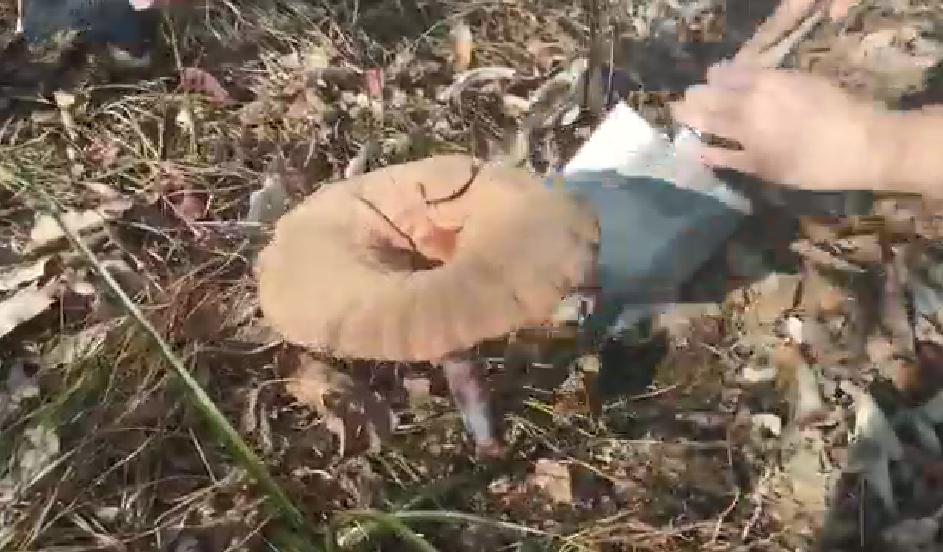  7790必发集团官网天成